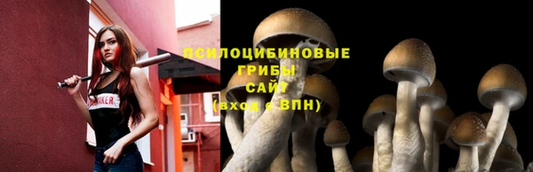 прущий лед Володарск