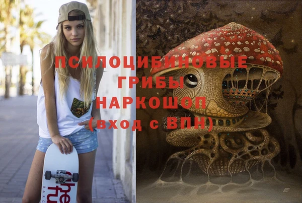 ешки Верхний Тагил